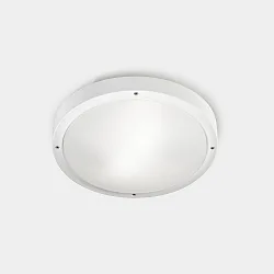 Applique et plafonnier BASIC LED IP66