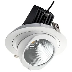 Downlight SHOP LIGHT 190 pivotant, dimmable IP40, blanche gradable