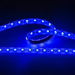 Bande LED LED SMD 5050 IP67, gradable