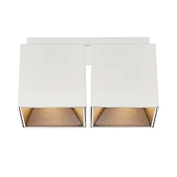 Luminaire de plafond ETHAN à 2 flammes GU10 IP20