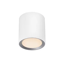 Luminaire de plafond LANDON LONG SMART Contrôle des apps IP44, blanche gradable