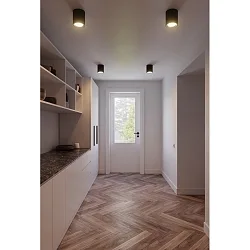 ceiling luminaire LANDON LONG SMART tunable white IP44, black dimmable