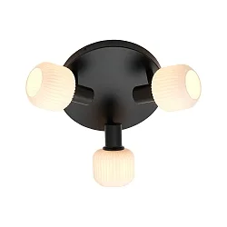 Luminaire de plafond MILFORD MINI 3 flammes E14 IP20, noir gradable