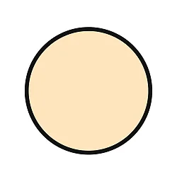 ceiling luminaire OJA 29 round IP54, black 