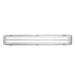 Luminaire pour locaux humides WORKS G13 IP65, blanche 