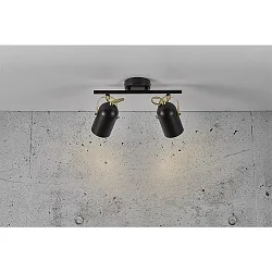 Luminaire de plafond LOTUS à 2 flammes E14 IP20, laiton, noir  