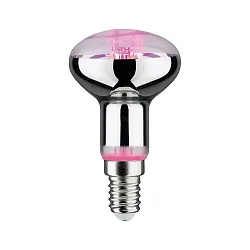 Lampe à réflecteur R50 GROW GREEN LED R50 E14 4W 100lm 1300K 64° CRI >30 