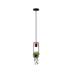 Luminaire à suspension NEORDIC URBAN JUNGLE FANJA GU10 IP20, cuivre, noir  gradable