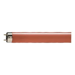 Tube fluorescent TLD 15 G13 25lm