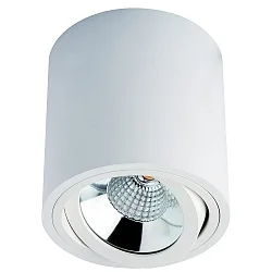 Luminaire de surface MELIMAR COB rond, pivotant IP20, transparent, blanche, laqué