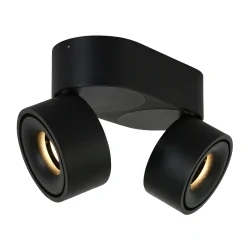 ceiling luminaire FEZ 2 flames, oval, swivelling, rotatable, set back IP20, black matt dimmable