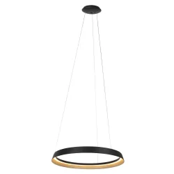 Luminaire à suspension RINGLUX IP20, noir gradable