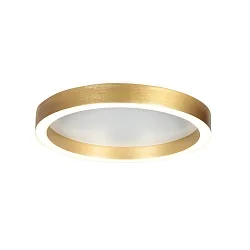 Luminaire de plafond RINGLUX IP20, gradable