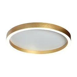 Luminaire de plafond RINGLUX IP20, gradable
