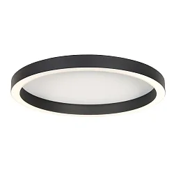 Luminaire de plafond RINGLUX IP20, gradable