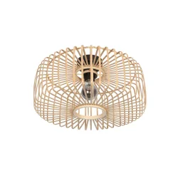 Luminaire de plafond BLOEBA E27 IP20, gradable