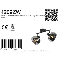 Luminaire mural TENEBRIS à 2 flammes E14 IP20, noir gradable