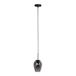 pendant luminaire HALOSWAP E27 IP20, dimmable