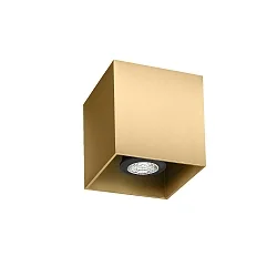 Spot BOX CEILING SURF 1.0 PAR16 GU10 IP20, champagne 