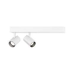 Luminaire de surface CENO 2.0 à 2 flammes, pivotant, rotatif IP20, blanche gradable