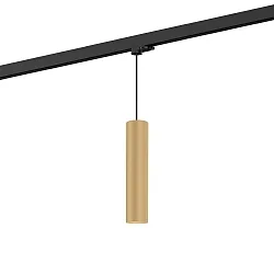 Luminaire suspendu triphasé RAY SUSP ON TRACK 3-PHASE 3.0 PAR16 GU10 IP20, champagne gradable