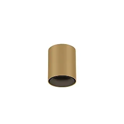 Downlight RAY MINI 1.0 Bas, cylindrique, version pour montage en surface IP20, champagne gradable