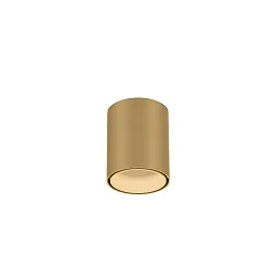 Downlight RAY MINI 1.0 Bas, cylindrique, version pour montage en surface IP20, champagne gradable