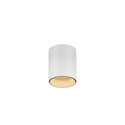 Downlight RAY MINI 1.0 Bas, cylindrique, version pour montage en surface IP20, blanc mat gradable