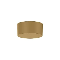 Rosace de plafond 1 voie, champagne