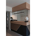 SLV Luminaire � suspension Q-LINE PD DALI single, noir  gradable