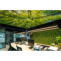 Luminaire � suspension GLENOS 100 Bas, angulaire, court IP20, noir mat gradable