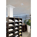 SLV Luminaire de plafond TRILEDO DOUBLE � 2 flammes, pivotant, double, blanche
