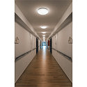 SLV Luminaire mural d'ext�rieur LIPSY� 40 DOME CCT Switch, cambr� IP44, blanche 