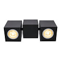 SLV Luminaire de plafond ALTRA DICE II � 2 flammes, rotatif GU10 IP20, noir  gradable
