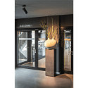SLV LED Ceiling luminaire NUMINOS SPOT DALI L, 3000K, 36°, 2340lm, black/black