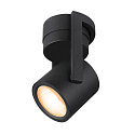 LED Wall / Ceiling luminaire OCULUS CW, DIM-TO-WARM 2000-3000K, 36-780lm, IP20, black