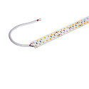Bande LED GRAZIA PRO MAX FLEXSTRIP IP20, blanche