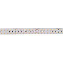 SLV Bande LED GRAZIA PRO MAX FLEXSTRIP IP20, blanche