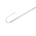 Bande LED GRAZIA IP FLEXSTRIP IP54, blanche