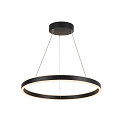 Luminaire � suspension ONE 60 PD DALI UP/DOWN CCT Switch, noir 