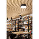 SLV LED Ceiling luminaire NUMINOS� SPOT DALI XL, 36W, 4000K, 36�, black