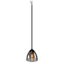 SLV Pendant luminaire PARA CONE GL GU10, transparent, black
