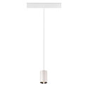 SLV Luminaire � suspension NUMINOS� XS TRACK 48V contr�lable par DALI IP20, chrome, blanche gradable
