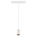 SLV Luminaire � suspension NUMINOS� XS TRACK 48V contr�lable par DALI IP20, noir, blanche gradable