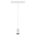 SLV Luminaire � suspension NUMINOS� XS TRACK 48V contr�lable par DALI IP20, noir, blanche gradable