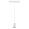SLV Luminaire � suspension NUMINOS� XS TRACK 48V contr�lable par DALI IP20, chrome, blanche gradable