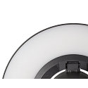 SLV Luminaire mural d'ext�rieur I-RING rond, commutable, avec diffuseur, pivotant � la cardan IP65, anthrazit 