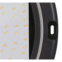 Applique et plafonnier OUTDOOR BULKHEAD V 360 CCT Switch, r�sistant aux chocs, commutable IP65, noir, laqu� 