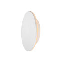 SLV outdoor wall luminaire D-RING M PHASE IP65, white dimmable
