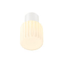 SLV Luminaire de plafond VARYT sans abat-jour E14 IP44, blanche gradable